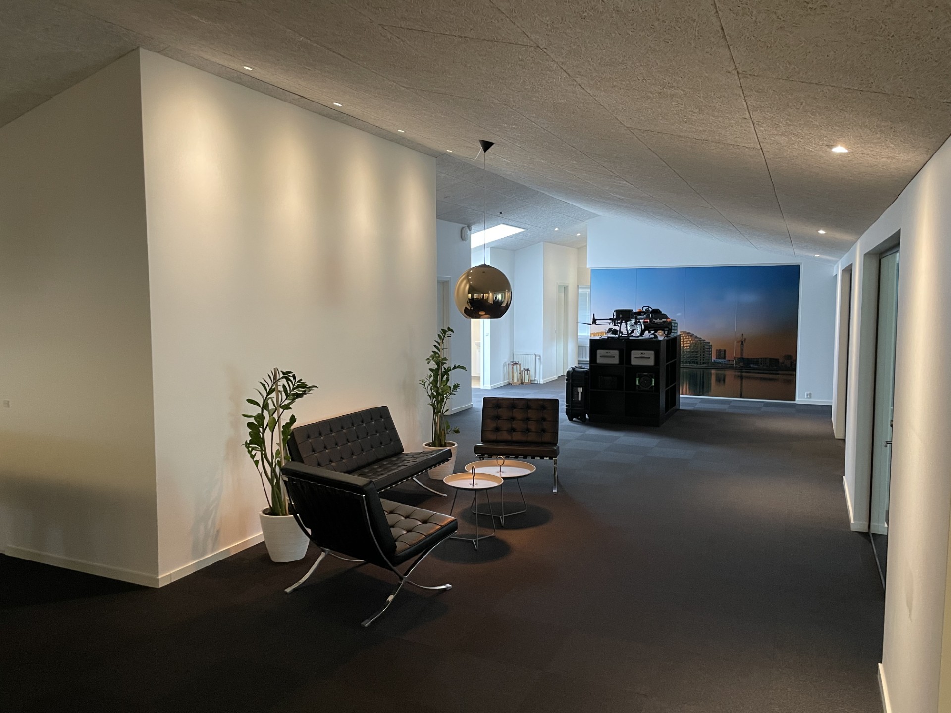 Hyggeligt fællesareal med 2 sorte moderne læder lænestole og matchende sofa. Grønne planter og sorte reoler og et gråt gulvtæppe.
